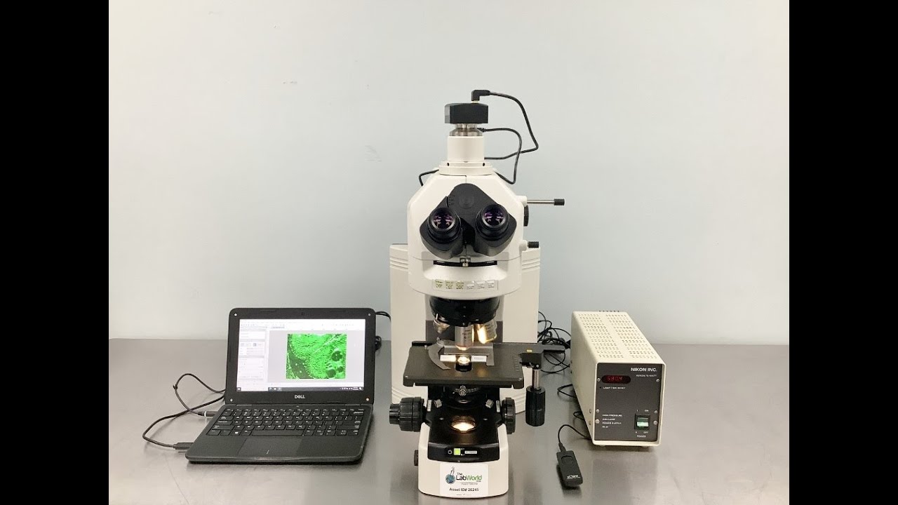 Nikon Eclipse 80i Fluorescence Microscope - The Lab World Group