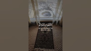 من سورة الزمر / القارئ : هزاع البلوشي