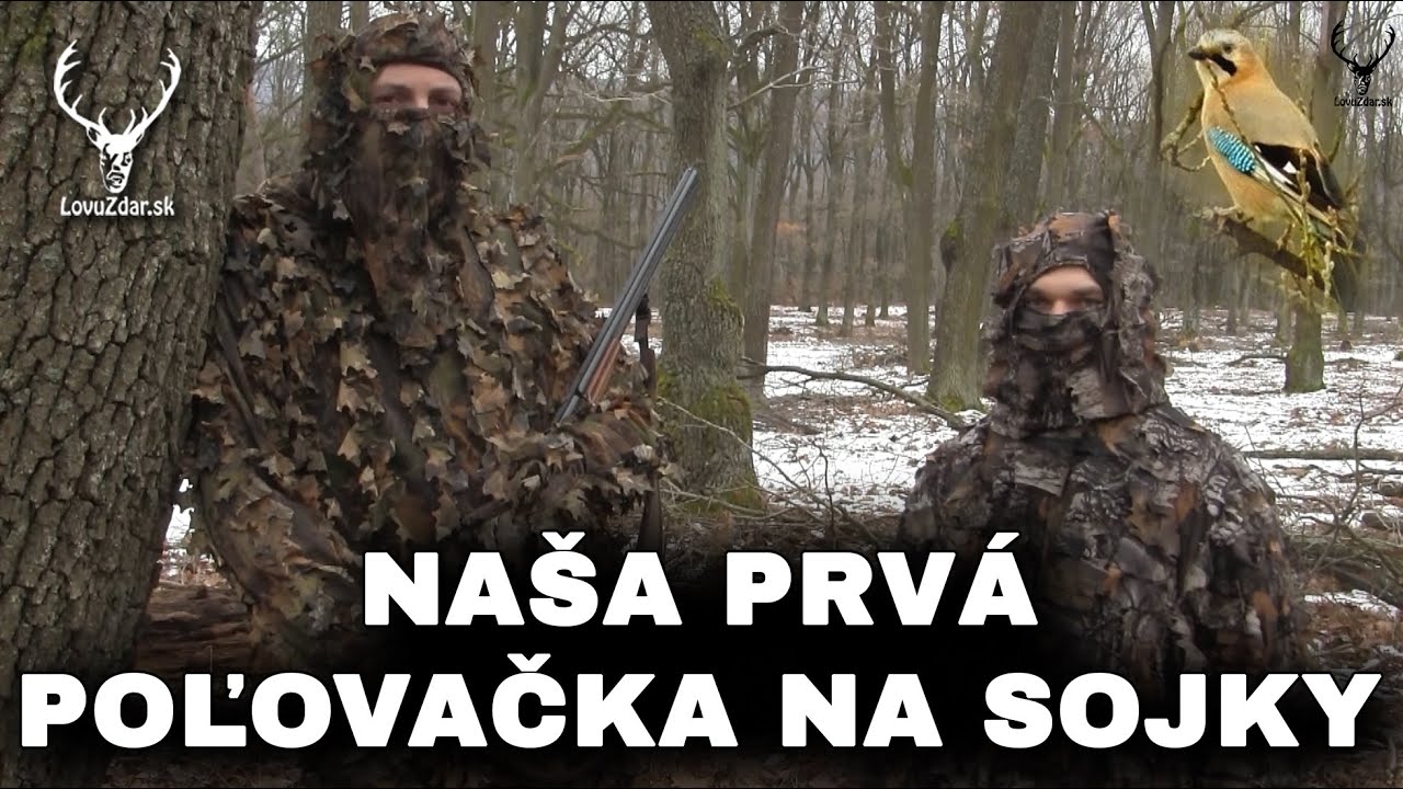 Naša prvá poľovačka na sojky + vábenie | Our first jay hunt + decoy | polowanie na sójki + wabik