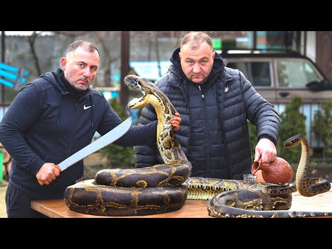 Yılan barbekü. Ben ızgarada SNAKE pişiren