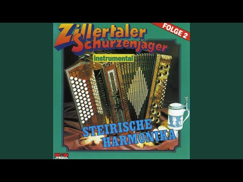 Zillertaler Schürzenjäger - Timple Boarischer