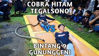 COBRA HITAM TEGALSONO VS BINTANG 9 GUNUNGGENI KELAS 55KG TARIK TAMBANG GUNUNGGENI PROBOLINGGO