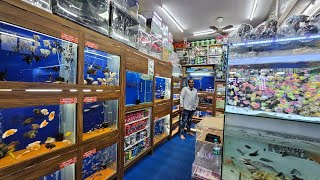 Karnataka Aquarium Fish Shop Bangalore