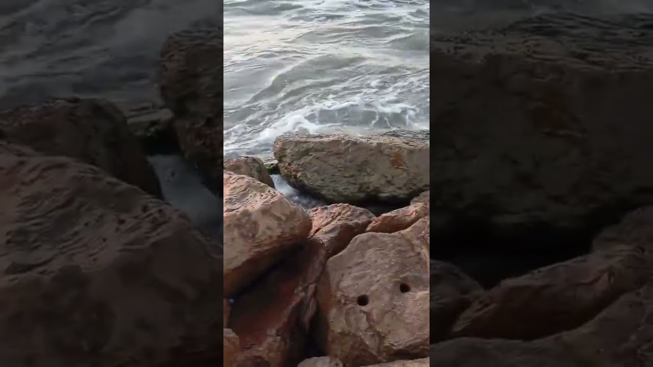 If you miss the sea, listen to these relaxing waves and feel like you are sitting on the beach again