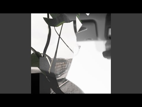 Tribe (38)