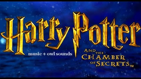 Harry Potter and the Chamber of Secrets game | Main menu music + owl sounds