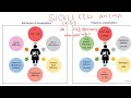 Sickel Cell Anemia #pregnancy #crisis #management #obstetrics #neet #aiims #mbbs#made#easy #lecture