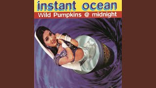 Video thumbnail of "Wild Pumpkins at Midnight - U.F.O."