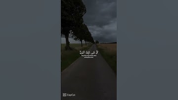 اكتب شئ تؤجر عليه ❤️😴 تلاوة هادئة تريح القلب #تلاوة_خاشعة #قرآن #تلاوة