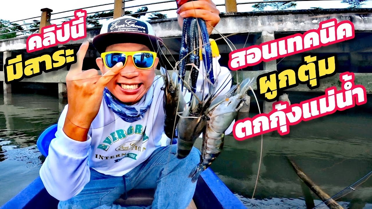 ผูกตุ้ม ล่าไอ้แก่ แม่กลอง .. สูตรนี้มีตัวจับเป็นโดน !! (Ep.116)​ #ตกกุ้ง  #ตกกุ้งแม่น้ำ