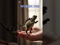 아기 공룡의 그리움