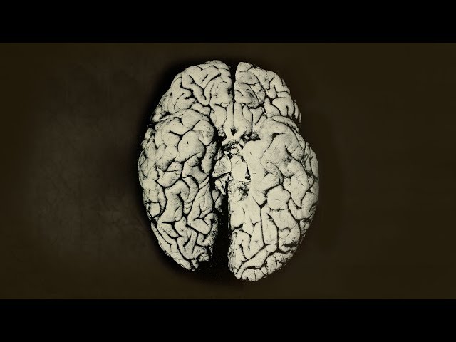 Thumbnail for A Scientist Spilled 2 Drops Organic Mercury On Her Hand. This Is What Happened To Her Brain.