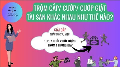 Trộm cắp/ Cướp/ Cướp giật tài sản khách nhau như thế nào? Pháp Luật Thường Nhật