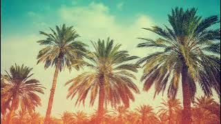 Трек Сapitao de areia часовая версия