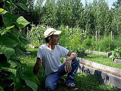 Harvest and Preserving Green Beans and Shallots