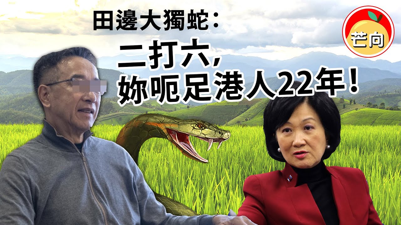 20200422D 田邊大獨蛇:『二打六,妳呃足港人22年!』 | 芒向早晨 - YouTube