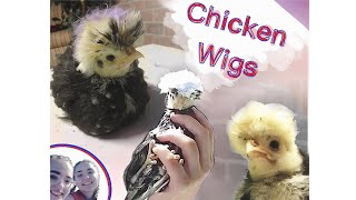 Famous making a wig for an ugly lil chicken Net Worth