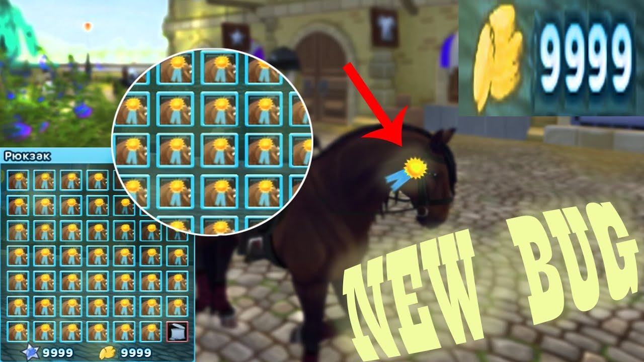 OMG! GET THE FIRST PLACE IN ANY CHAMP WITH THE NEW BUG!! Star Stable ...