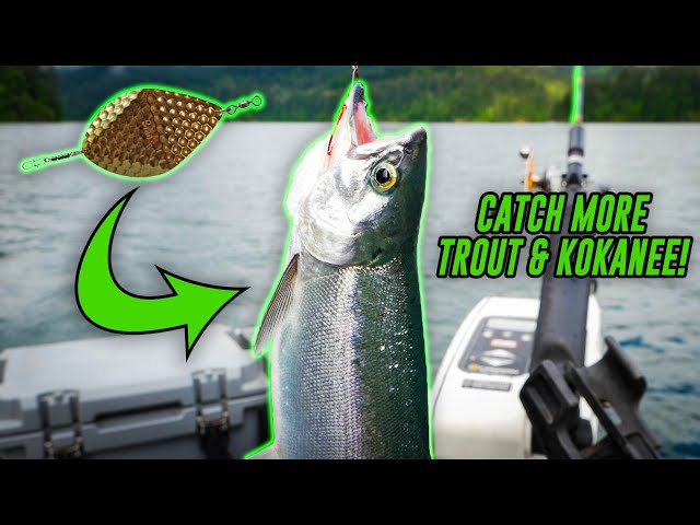 How To CATCH Trout & Kokanee Using Dodgers (BIG Kokanee Caught