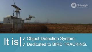 M.a.r.s. - Merlin Avian Radar System