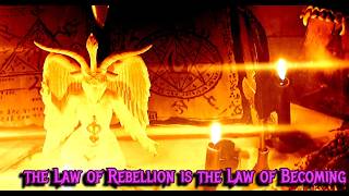 III. The Field of Pure Will