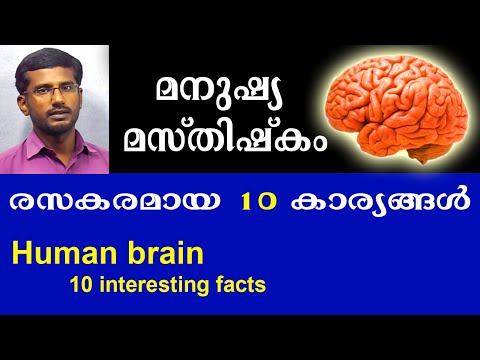 Brain | Human Brain Malayalam | Manushya Masthishkam Malayalam | മനുഷ്യ മസ്തിഷ്കം