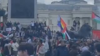 Lefties ‘turn on each other’ after Pride flag appears at pro-Palestine rally