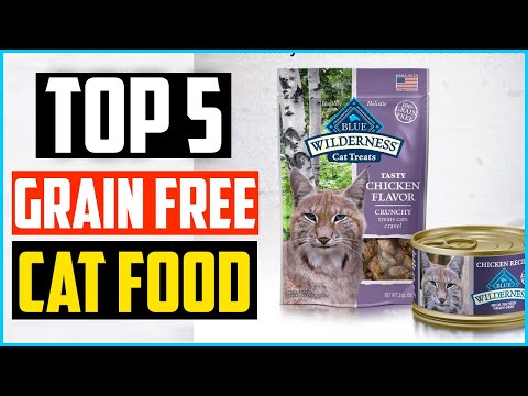 Video: Grain-Free Cat Food At Gluten-Free Cat Food