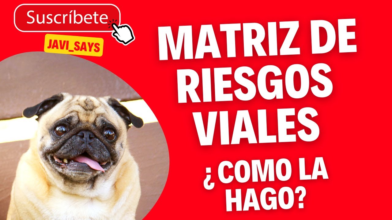 MATRIZ DE RIESGOS VIALES pesv excel 2022