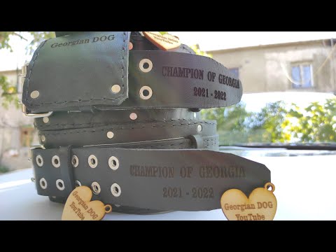 ძაღლის ამუნიცია / ვკერავთ შეკვეთით ძალიან კარგ და  ხარისხიან საყელოებს