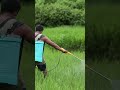 Human Impact on Vegetation and Environment