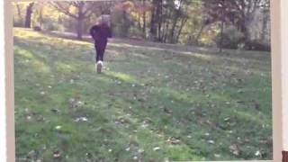 Crazy ass Squirrel getting Staked by some human