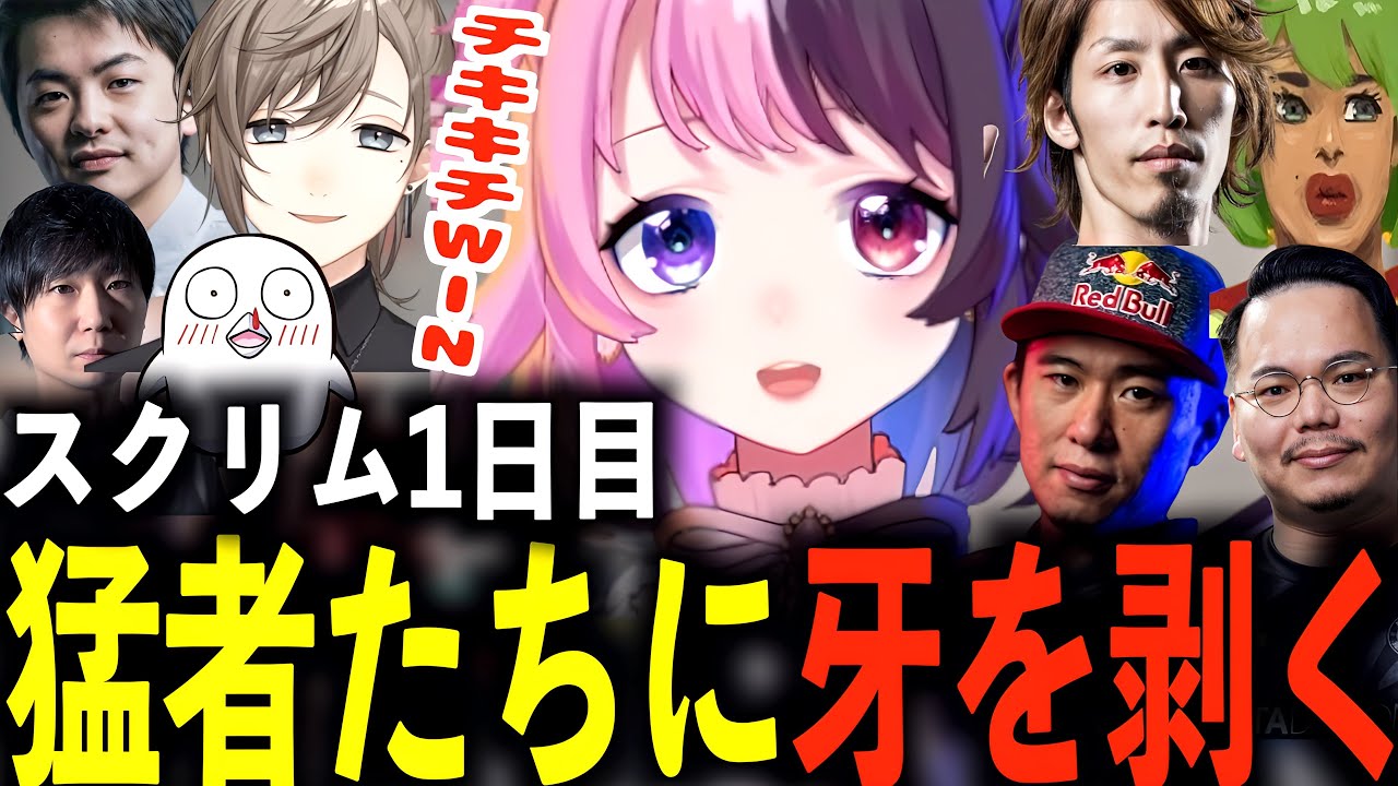 【CRカップ】スクリム1日目から数多の猛者たちの中で牙を剥く天鬼ぷるる【天鬼ぷるる/切り抜き/スト6】