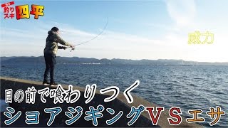 四平だんごと根掛り時の対策(136話目)