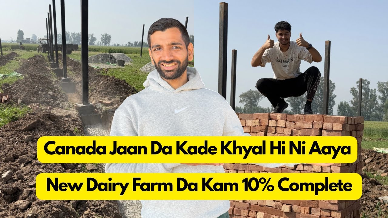 New Dairy Farm Da Kam 10% Poora Hogya.