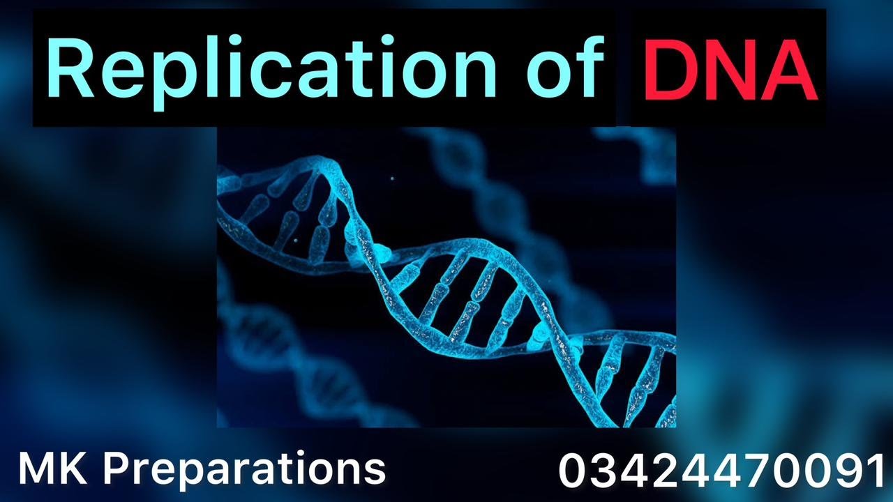 Dna Complete Replication of DNA Complete Process | Biology & Zoology | MK ...