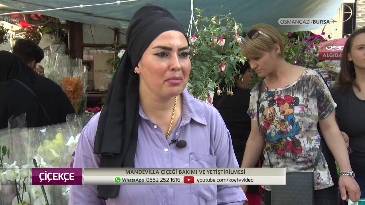 ÇİÇEKÇE  KÜPELİ-MANDEVİLLA-ORTANCA BAKIMI