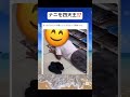 やる気あってすき#おもしろ #やばい#reel #shorts#TikTok