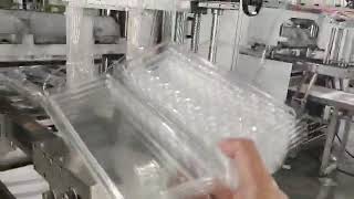 PET plastic clamshell  machine 