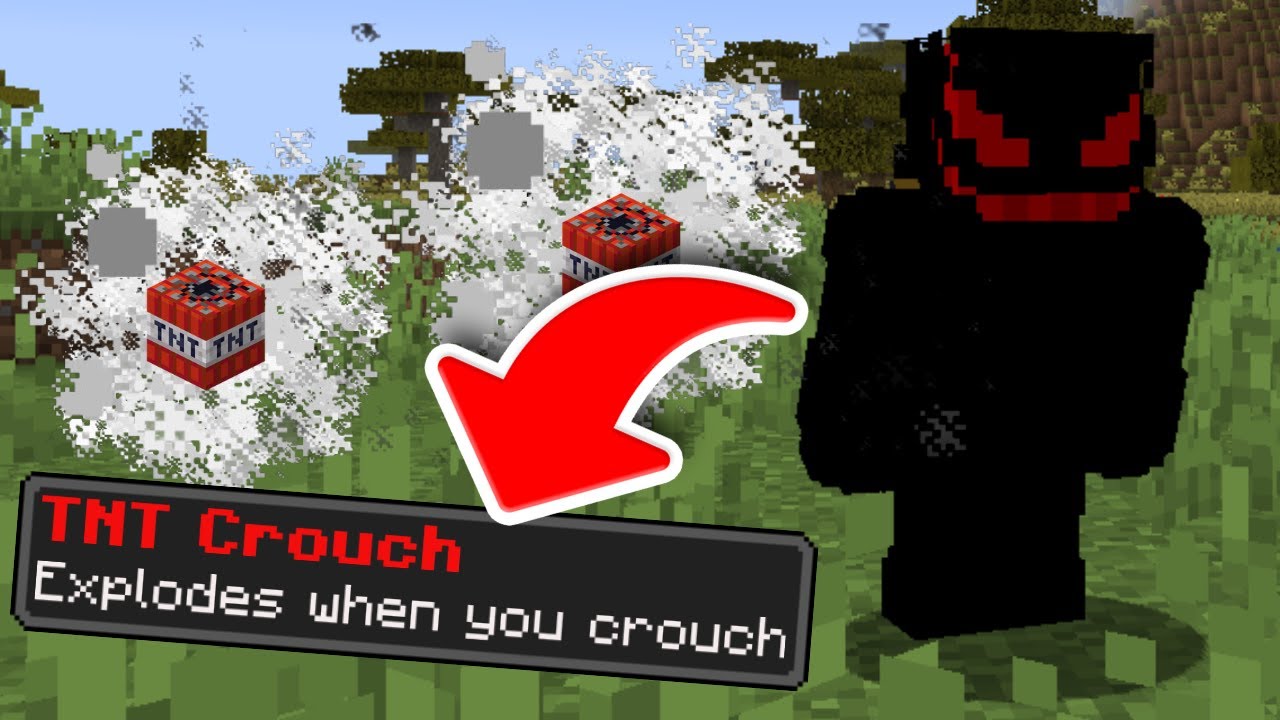 Minecraft But, There Are Custom Crouches...!! 