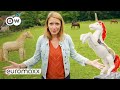 Why This Small German Town Is So Crazy About Unicorns