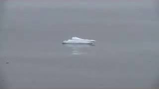 0527_F1507_J2_004_sea_ice_LS_1.mp4