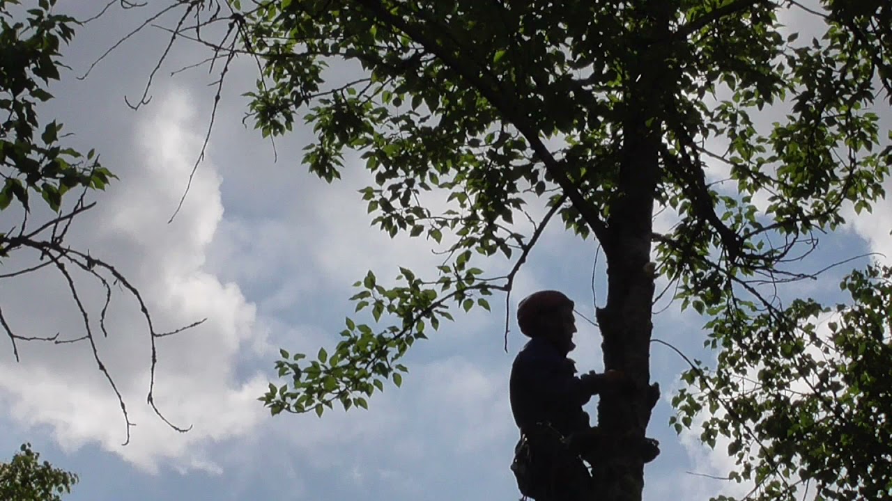 ОПЫТ ВЫСОТНЫХ РАБОТ БОЛЕЕ 10 ЛЕТ - YouTube