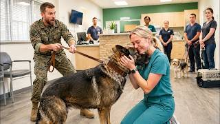 Don't Come Near Him The Soldier Warned—Until The Quiet Vet Tech Sat On The Floor And His K9 Cho...