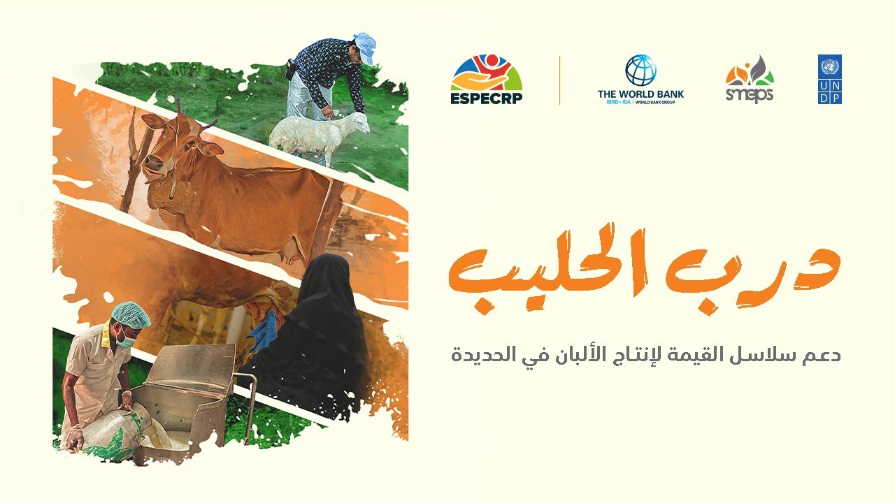 Livestock Value Chain Documentation E | درب الحليب | SMEPS #worldfoodday