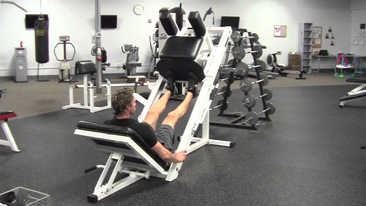 exercise 14.1 class 11 Donkey Calf Raise (Leg Press)