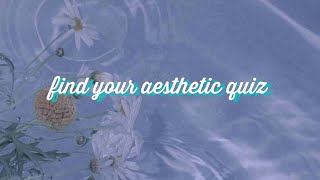 Find your aesthetic (QUIZ)