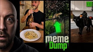 Information This Dump Got Out Of Hand!! Ep-001 News