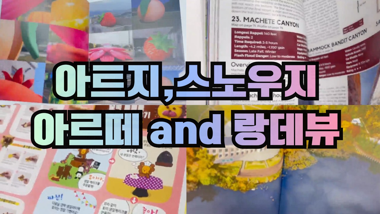 아트지, 스노우지, 아르떼, 그리고 랑데뷰 비교