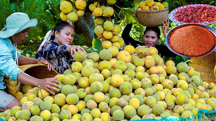 Santol Fruit Harvesting to Make Pickled - Donation Fruit at Kamreng Primary School - DayDayNews